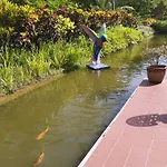Zen Paradise