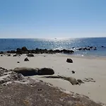 Zen Paradise
