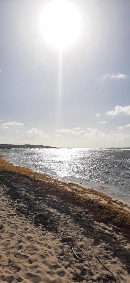 Zen Paradise * Sainte-Anne (Grande-Terre)