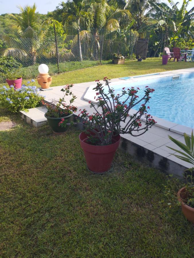 Zen Paradise Appartement
